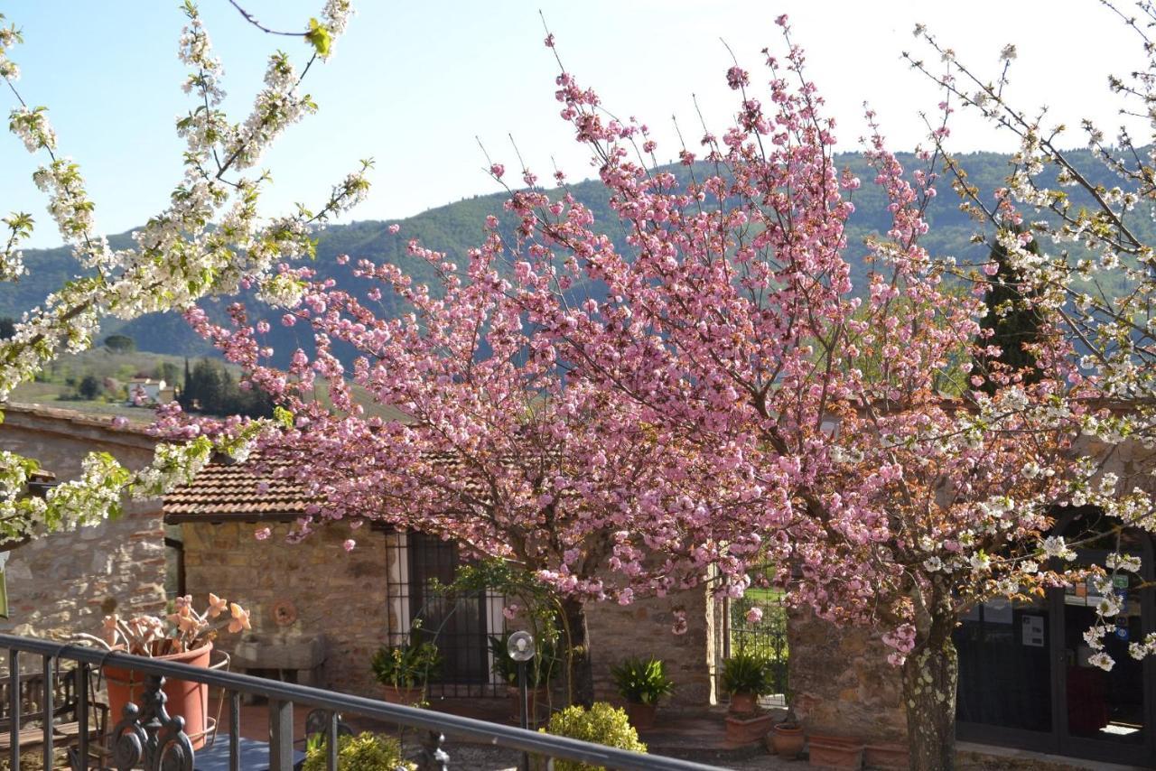 Podere Vignola Pontassieve Exterior foto